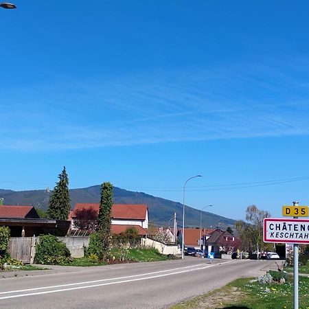 Gite Le Marronnier - Au Calme - Parking & Terrasse - Pres De Colmar Et Riquewihr - Route Des Vins Châtenois Exteriör bild