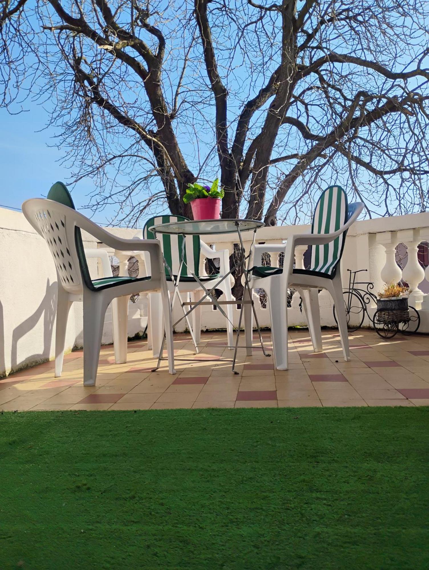 Gite Le Marronnier - Au Calme - Parking & Terrasse - Pres De Colmar Et Riquewihr - Route Des Vins Châtenois Exteriör bild
