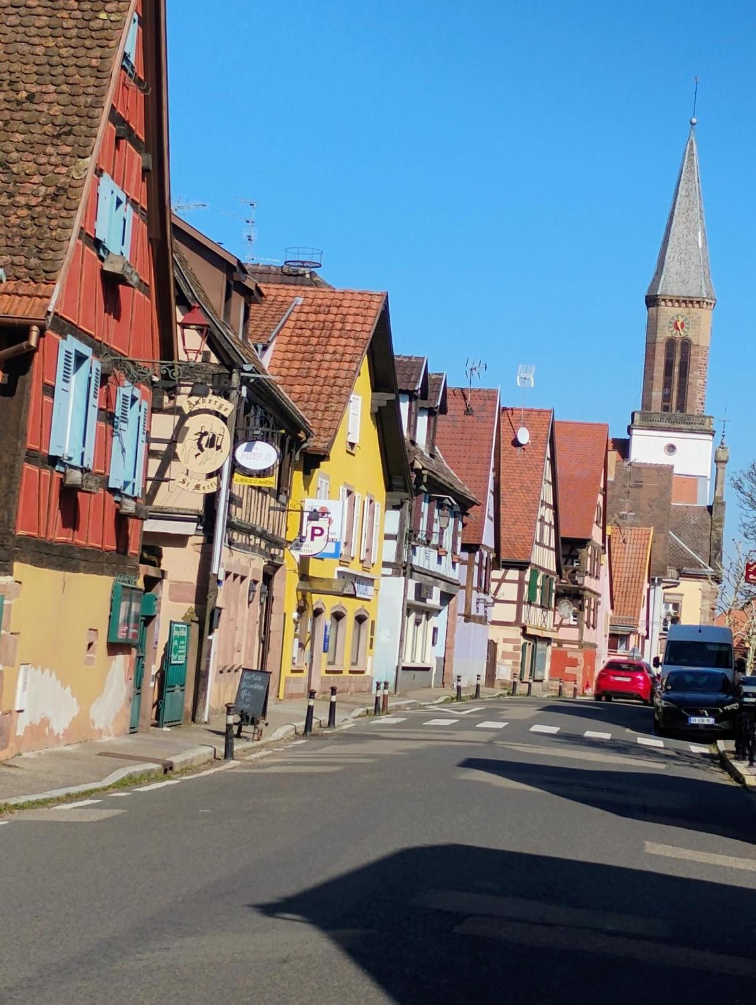 Gite Le Marronnier - Au Calme - Parking & Terrasse - Pres De Colmar Et Riquewihr - Route Des Vins Châtenois Exteriör bild