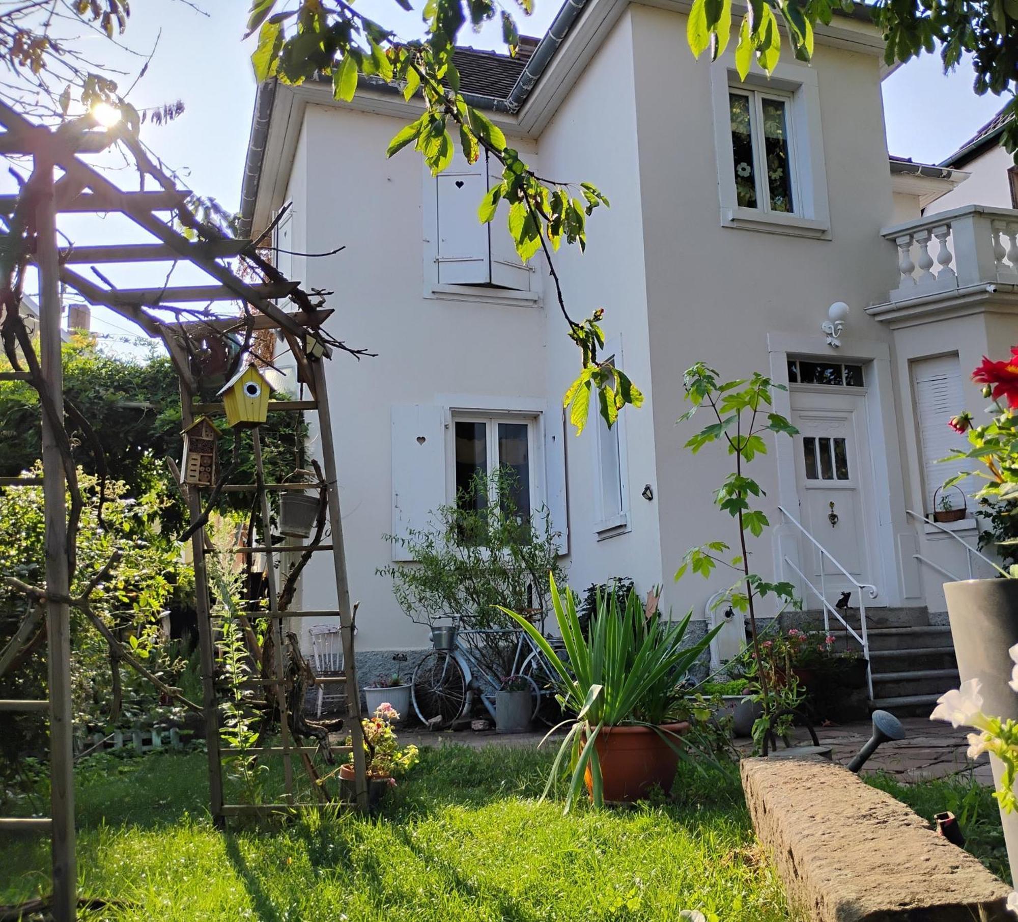 Gite Le Marronnier - Au Calme - Parking & Terrasse - Pres De Colmar Et Riquewihr - Route Des Vins Châtenois Exteriör bild