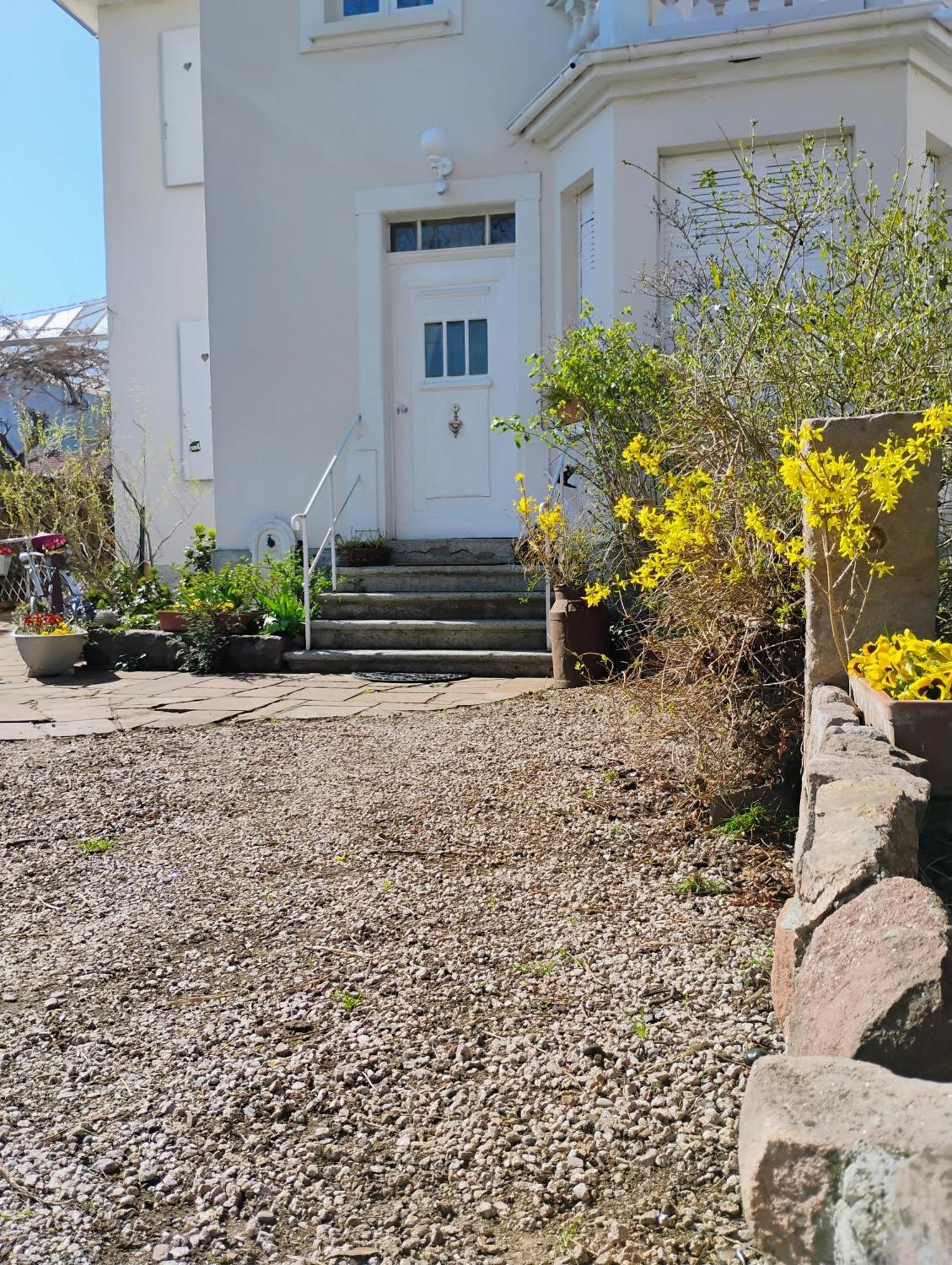 Gite Le Marronnier - Au Calme - Parking & Terrasse - Pres De Colmar Et Riquewihr - Route Des Vins Châtenois Exteriör bild