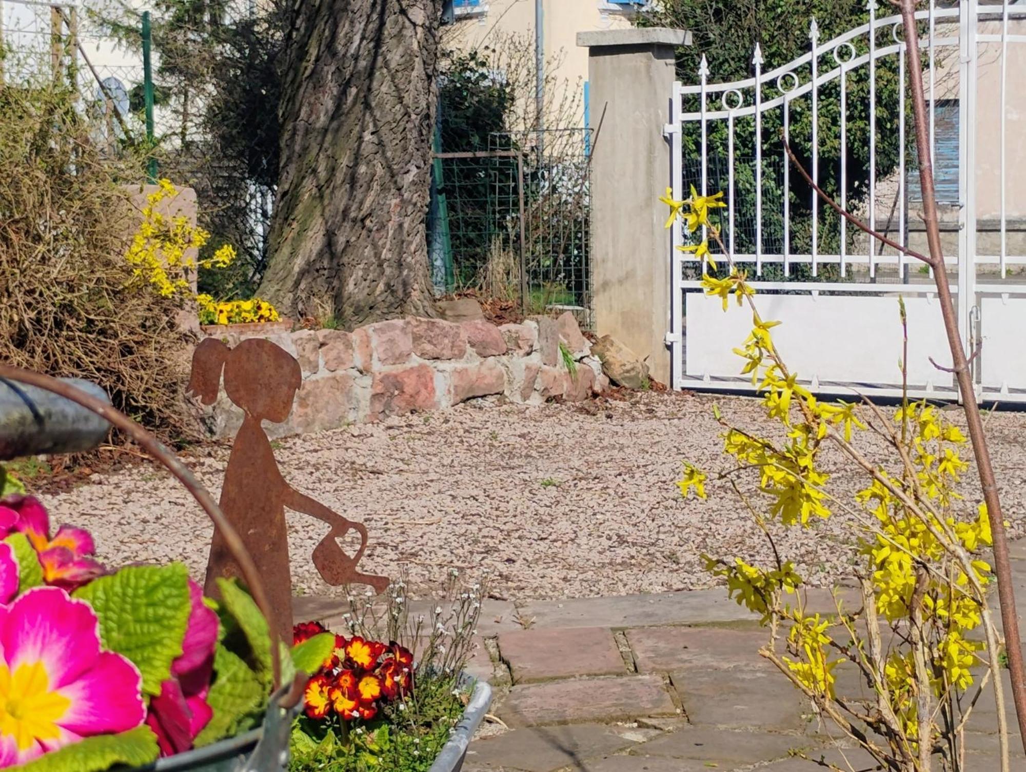 Gite Le Marronnier - Au Calme - Parking & Terrasse - Pres De Colmar Et Riquewihr - Route Des Vins Châtenois Exteriör bild
