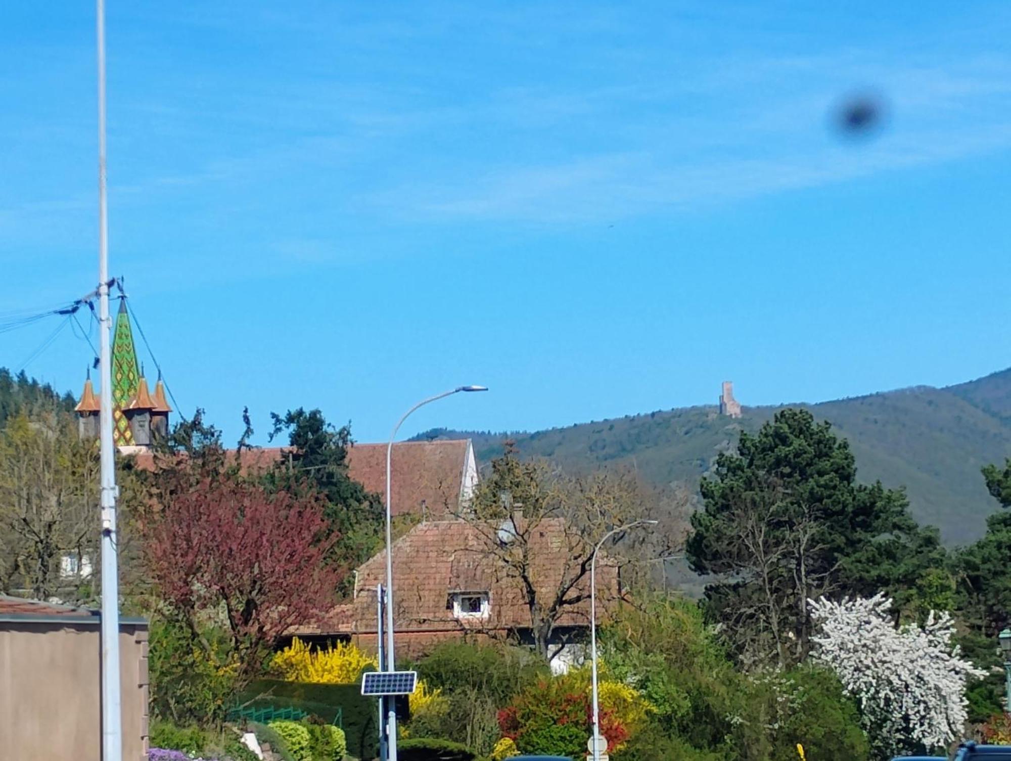 Gite Le Marronnier - Au Calme - Parking & Terrasse - Pres De Colmar Et Riquewihr - Route Des Vins Châtenois Exteriör bild