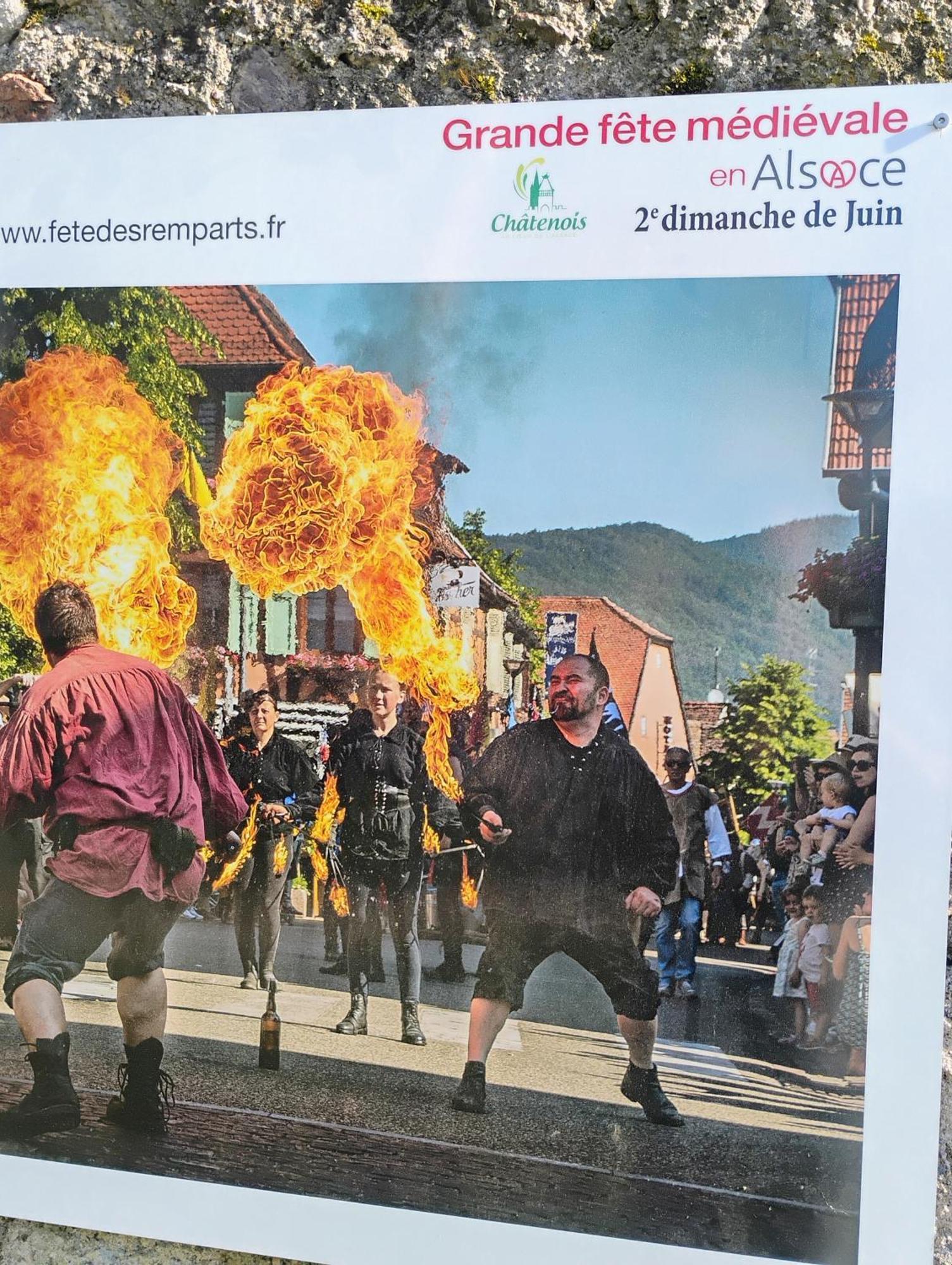 Gite Le Marronnier - Au Calme - Parking & Terrasse - Pres De Colmar Et Riquewihr - Route Des Vins Châtenois Exteriör bild